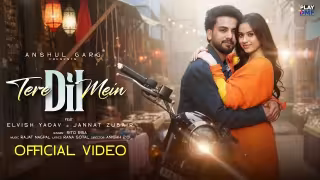 Tere Dil Mein Song Poster from Play DMF