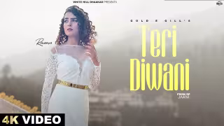 Teri Diwani Song Poster from White Hill Dhaakad