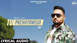 Tu Pachhtawega Song Poster from White Hill Dhaakad