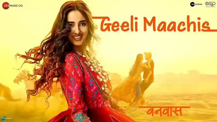 गीली माचिस Geeli Maachis Lyrics – Vanvaas Movie 2024