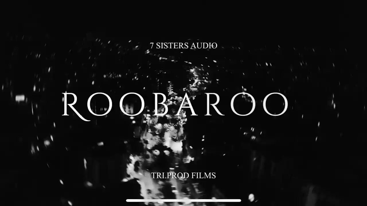 Roobaroo Lyrics Song Cover Picture | Paul Mahanta, Aykaax